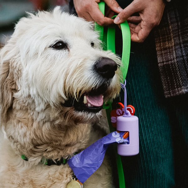 The Power of Visual Branding: How I Brought My Vision of Amusejoy to Life